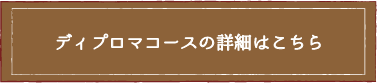 ディプロマコースの詳細はこちら
